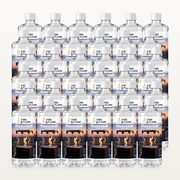 Flamestuff Bioethanol 96,6 % Vorratspaket
