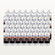 Flamestuff Bioethanol 96,6 % Vorratspaket